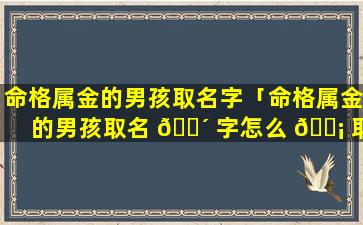 命格属金的男孩取名字「命格属金的男孩取名 🌴 字怎么 🐡 取」